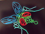 IMGA0128.JPG
